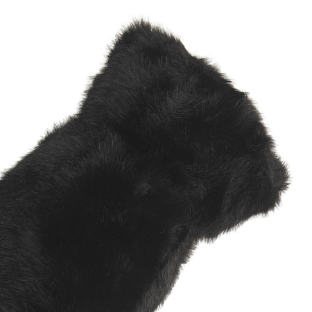 Rękawiczki damskie HH-17