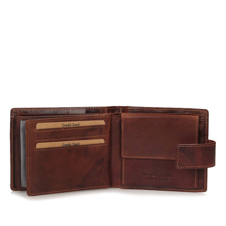 Wielokieszonkowy męski portfel T352